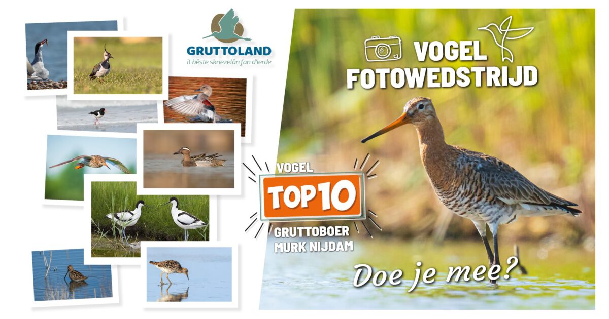 Fotowedstrijd Agrarisch Natuurfonds Fryslân