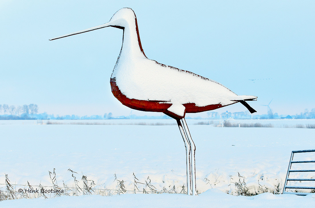 Featured image for “VRIJWILLIGER COMMUNICATIE GEVRAAGD”